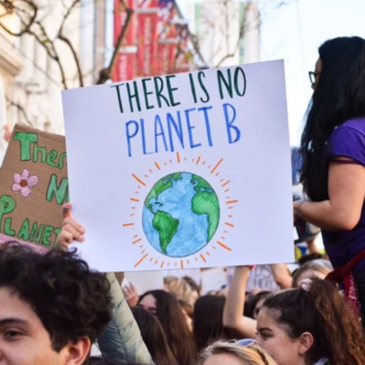 Climate Strike 2019 - Led by Greta Thunberg